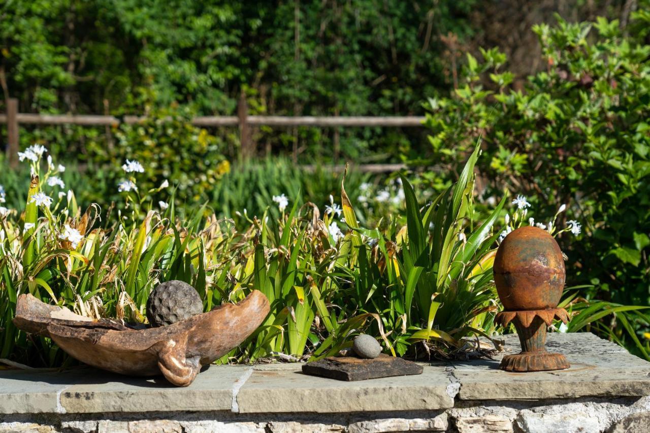 Villa Fenice - Elegant Country House Borgo a Mozzano Eksteriør billede